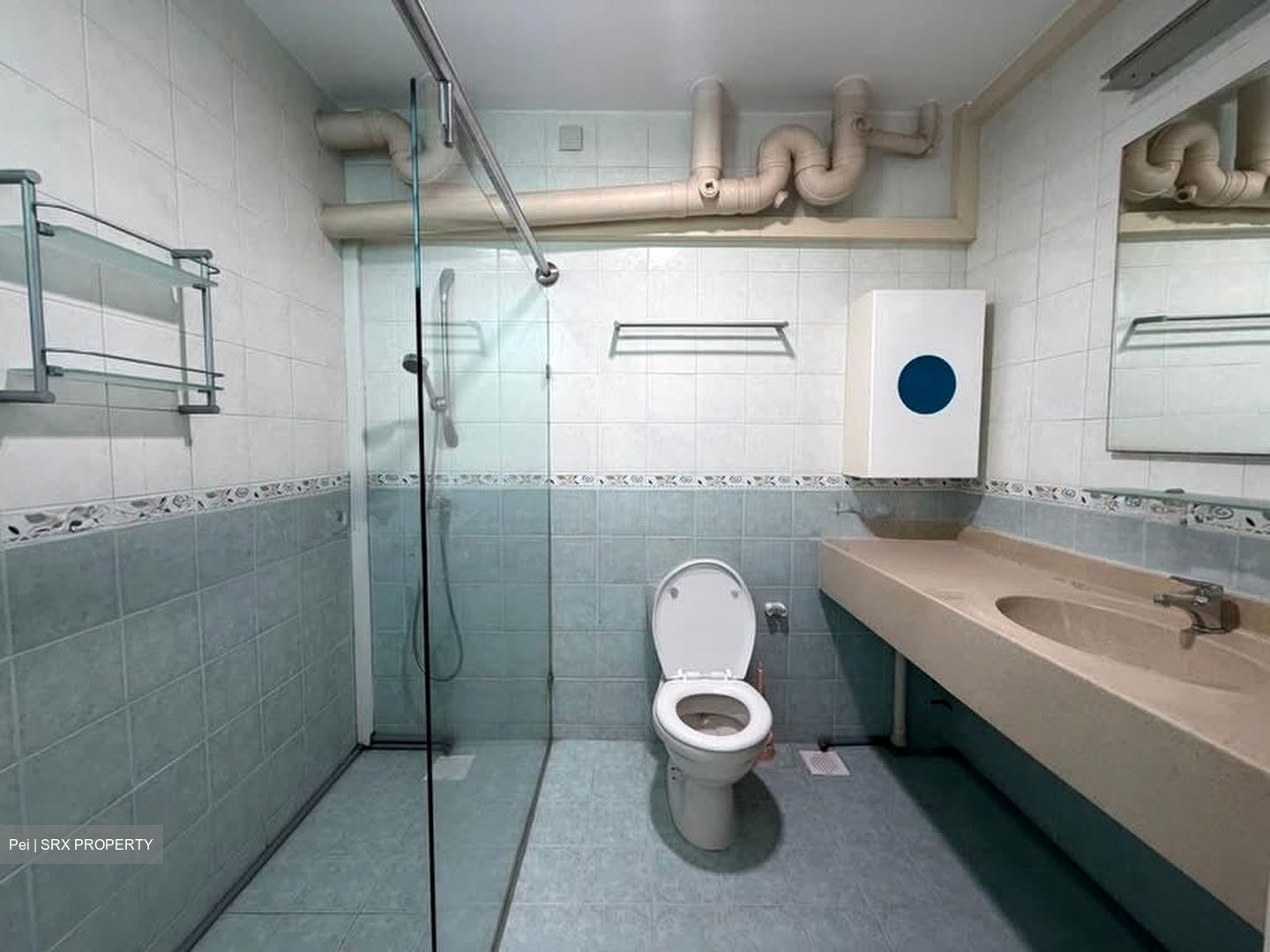 Blk 186 Punggol Central (Punggol), HDB Executive #568292771